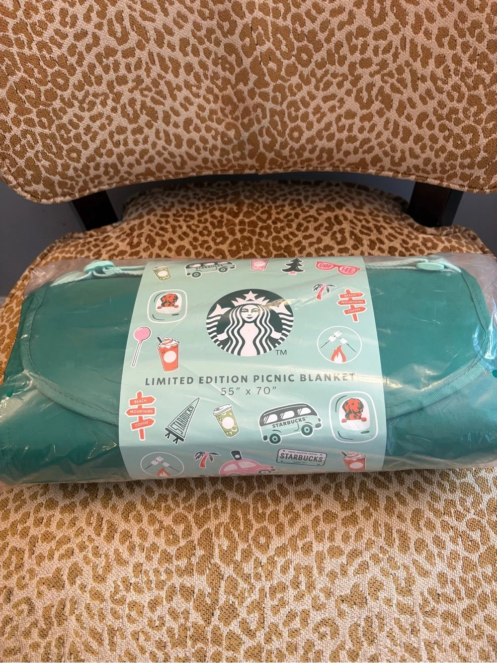 Starbucks Teal Green Limited Edition Picnic Blanket with Stickers
